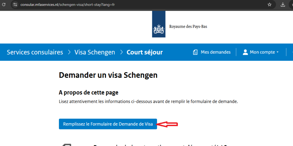 Interface affichant la rubrique remplir le formulaire de demande de visa où l’utilisateur doit cliquer pour commencer la saisie.