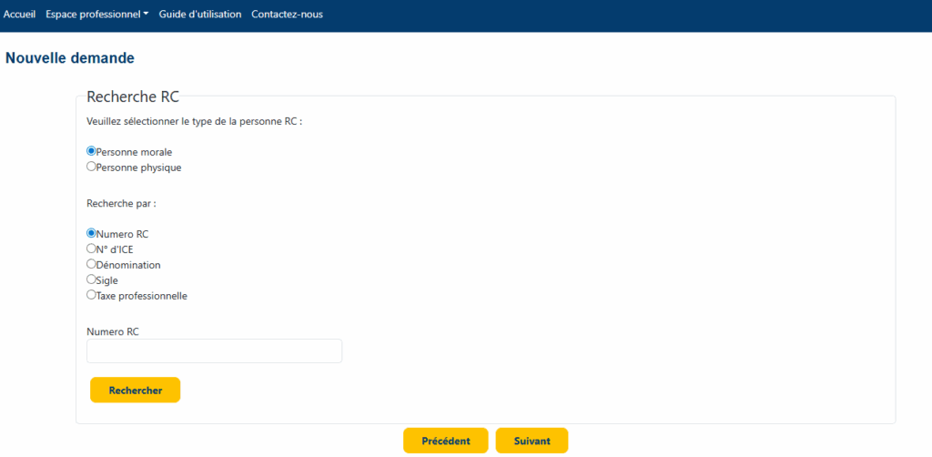 Capture d’écran de l’étape : choix du type de personne (physique ou morale), sélection de la méthode de recherche et saisie des informations avant de cliquer sur « Rechercher »